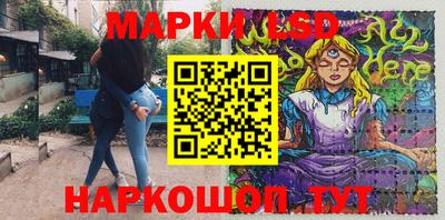 индика Кандалакша